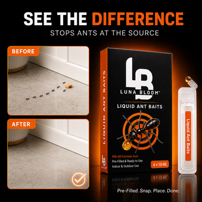 Luna Bloom Liquid Ant Baits