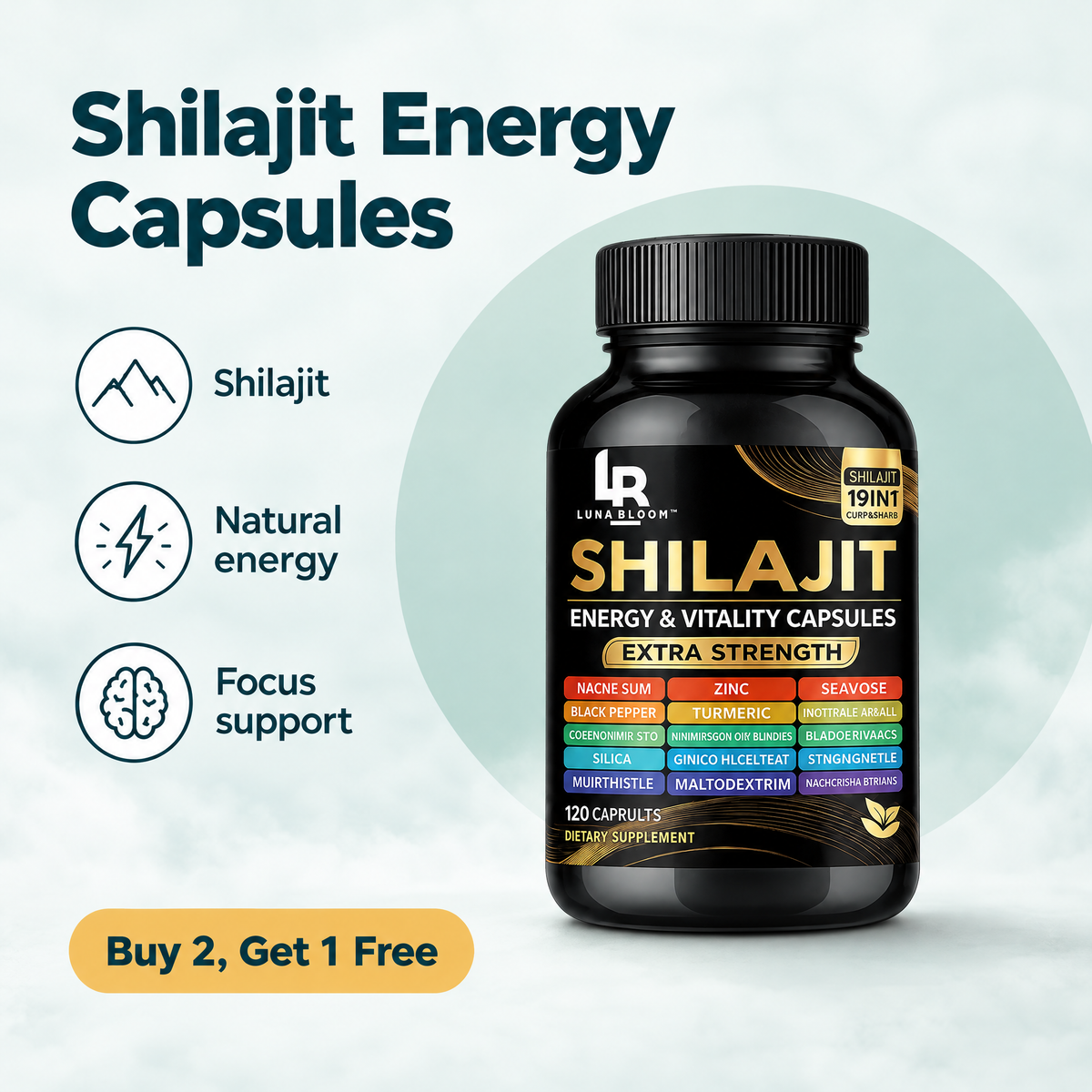 Shilajit Energy & Vitality Capsules – highlights