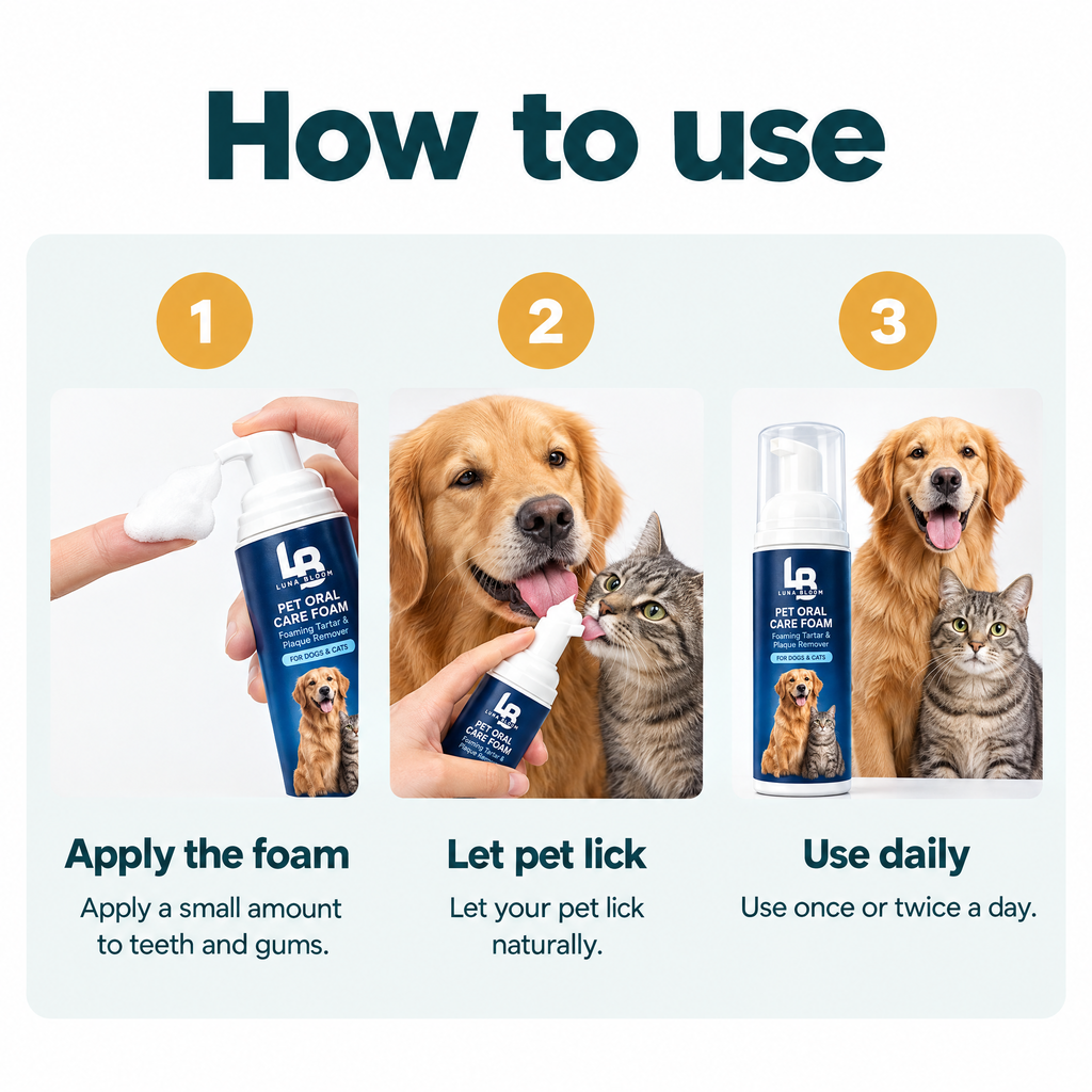 Brush-Free Pet Oral Care Foam – how to use