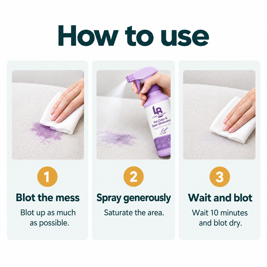 Pet Odor & Stain Eliminator Spray – how to use