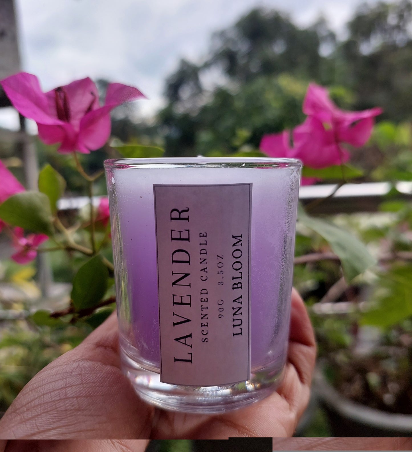 Lavender – Serenity in Bloom