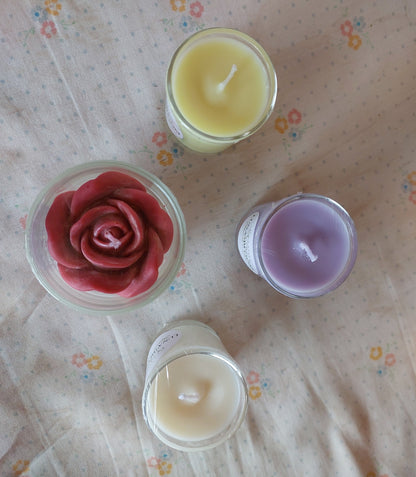 Jasmine – Essence of Elegance